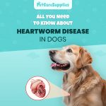 All You Need to Know About Heartworm Disease in Dogs Pet Health
