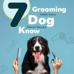 7 Grooming Habits Every Dog Parent Should Know Dog Care