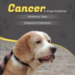 Dog Care