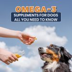 Omega-3 Supplements for Dogs: All You Need to Know Dog Care