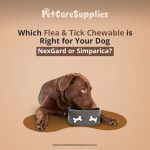 Which Flea & Tick Chewable is Right for Your Dog – NexGard or Simparica? Dog Care