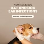 Pet Care