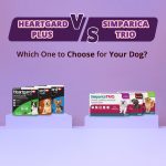 Dog Care
