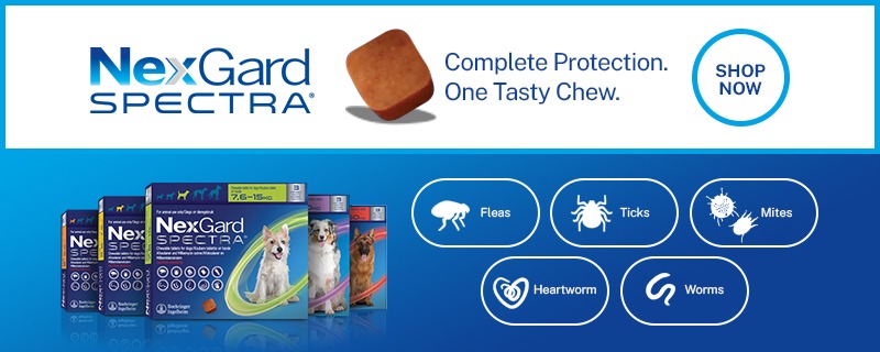 Nexgard Spectra Chewable Tablets for Dogs