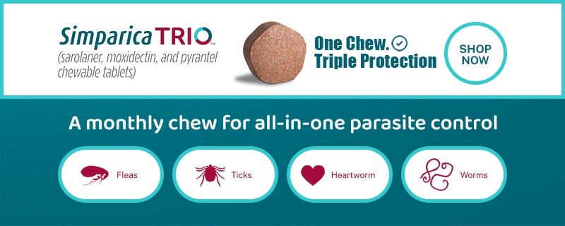 Nexgard Spectra Chewable Tablets for Dogs