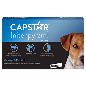 637251062891159988-capstar-dog-blue.jpg