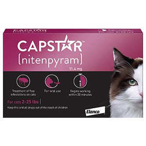637251063572310693-capstar-cat-purple.jpg