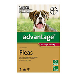 

Advantage Large Dogs 21-55lbs (Red) 6 Doses