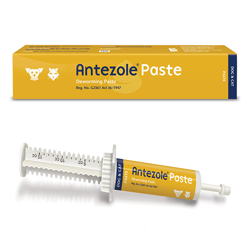 

Antezole Paste 15 Ml 1 Pack