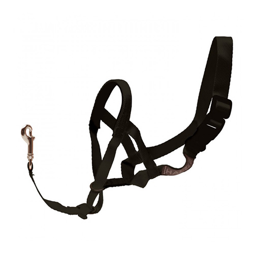 

"Jorvet Halti Head Collar 1 Size 2 - Beagle, Cocker Spaniel"