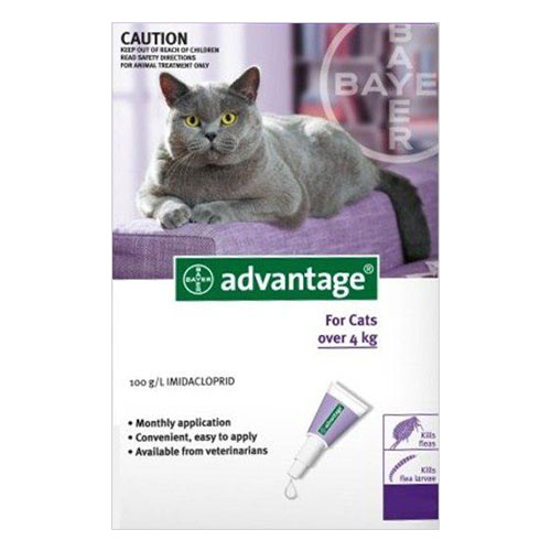 Advantage Cats Over 10lbs Purple 4 Doses