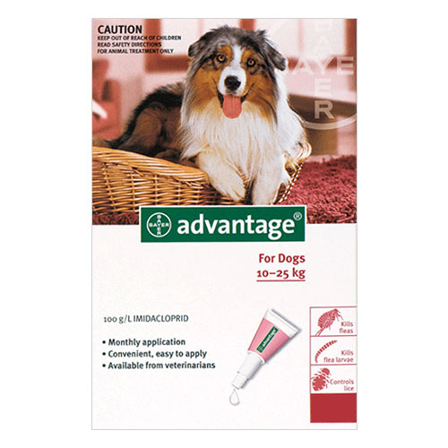 Advantage Large Dogs 21-55lbs Red 4 Doses