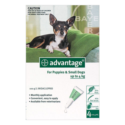 Advantage Small Dogs/ Pups 1-10lbs Green 12 Doses
