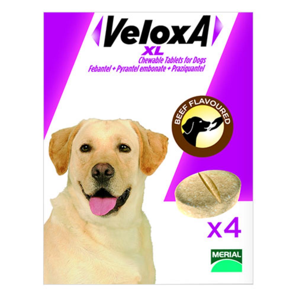 Veloxa Xl Chewable Tablets For Large Dogs Up To 77lbs 35 Kg 8 Tablet