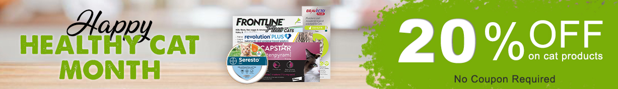 Cat Month Sale