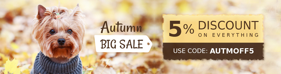 Get 5% Use Coupon: AUTMOFF5