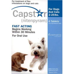 capstar for cats small dogs capstar for cats buy capstar flea treatment for cat capstar for cats small dogs capstar for cats buy capstar flea treatment for cat